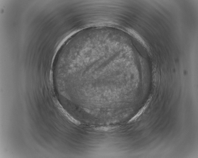 X0000079280932200612081749