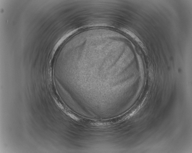 X0000079280933200612081749