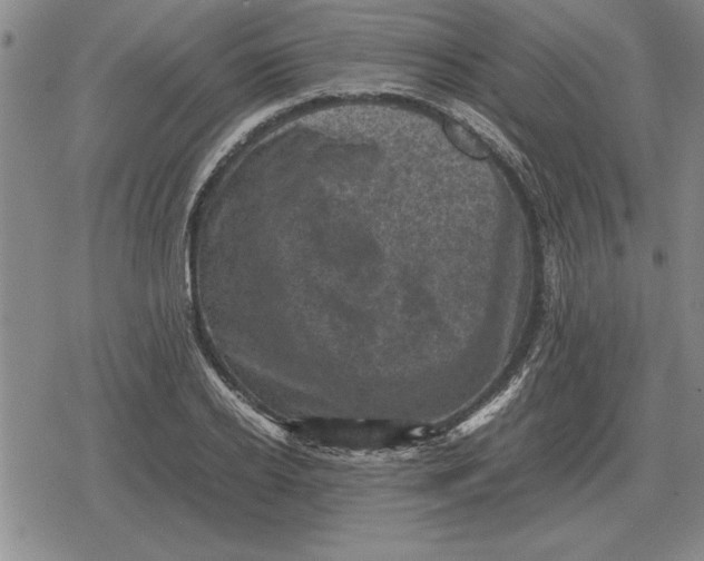 X0000079280934200612081749