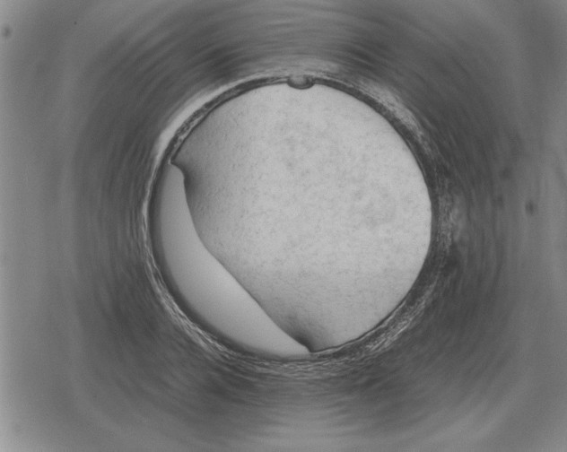 X0000079280936200612081749