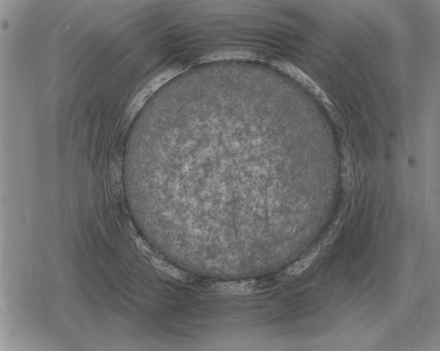 X0000079280937200612081749