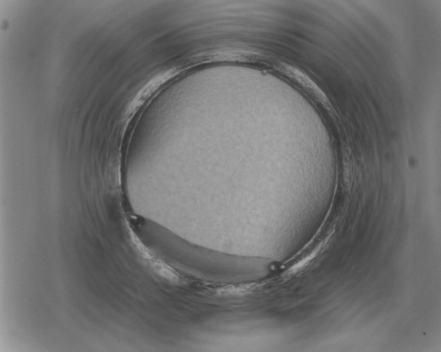 X0000079280938200612081749