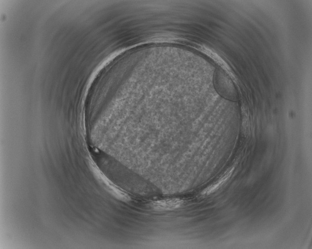 X0000079280939200612081749