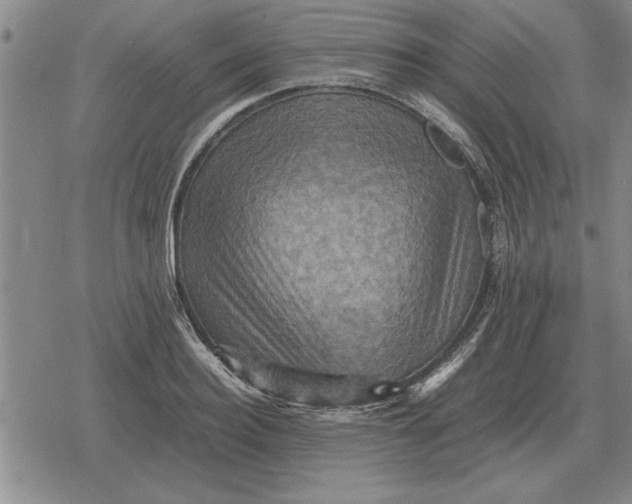 X0000079280940200612081749