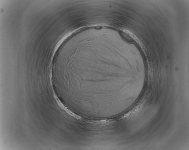 X0000079280941200612081749