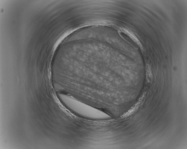 X0000079280944200612081750