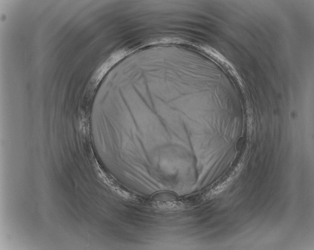 X0000079280945200612081750