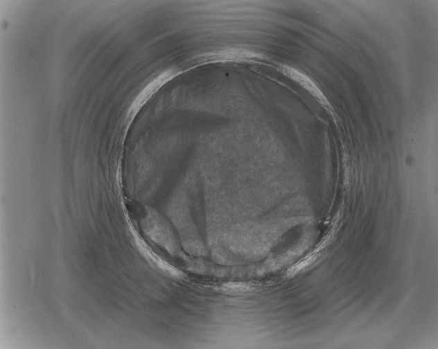 X0000079280946200612081750