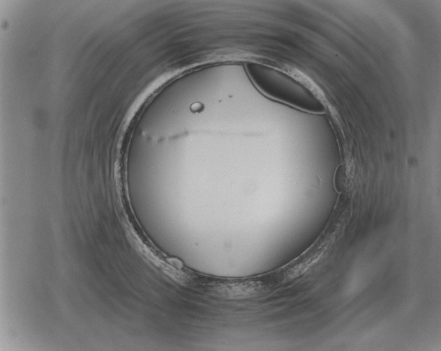 X0000079280947200612081750