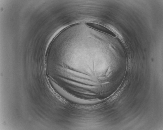 X0000079280948200612081750