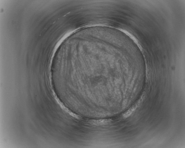 X0000079280949200612081750