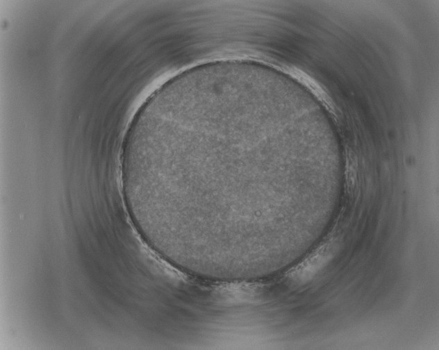 X0000079280950200612081750