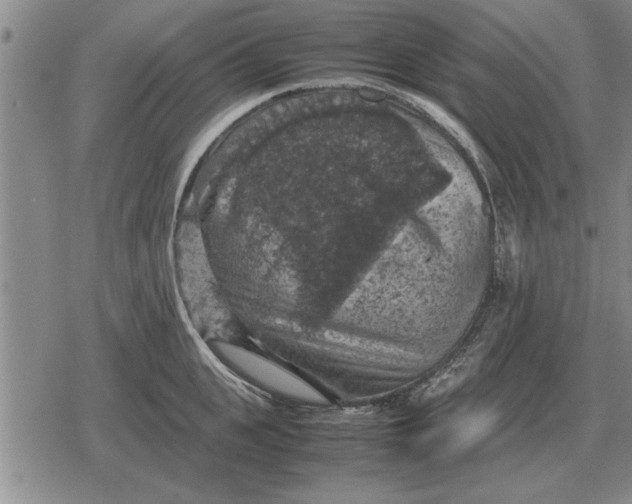 X0000079280951200612081750