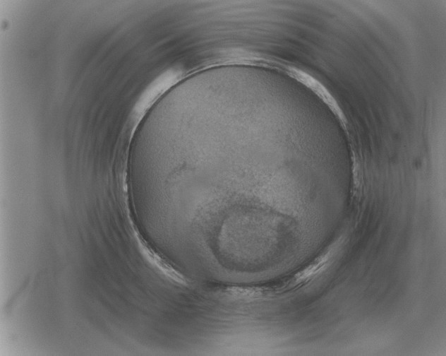 X0000079280954200612081750