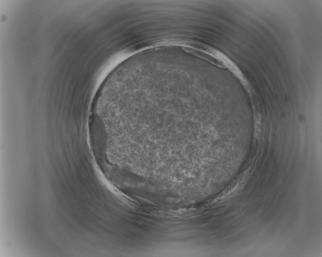 X0000079280955200612081750