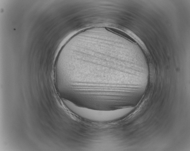 X0000079280956200612081750