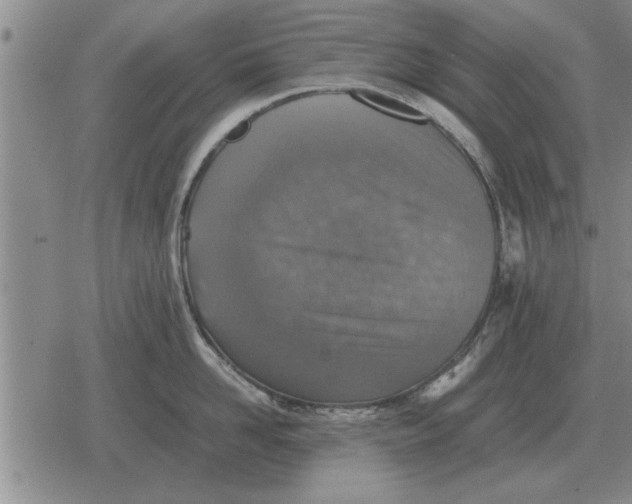 X0000079280958200612081750