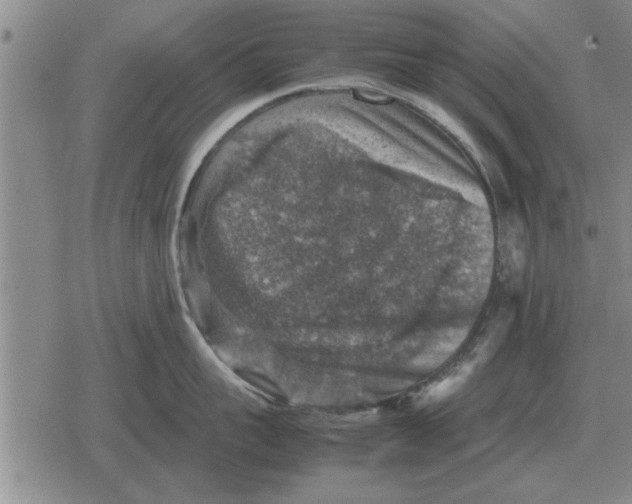 X0000079280959200612081750