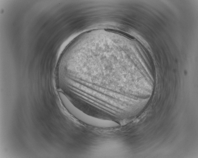 X0000079280960200612081750