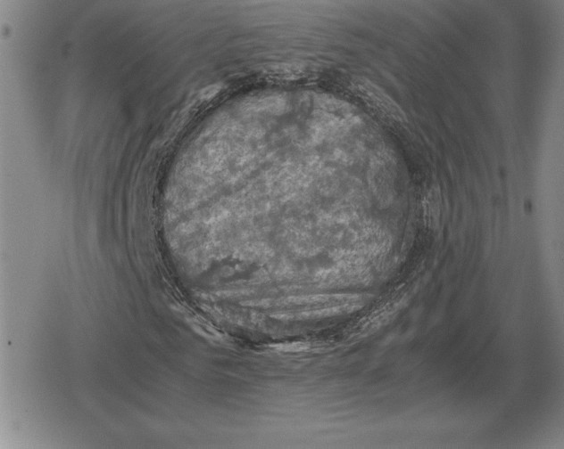 X0000079280961200612081749