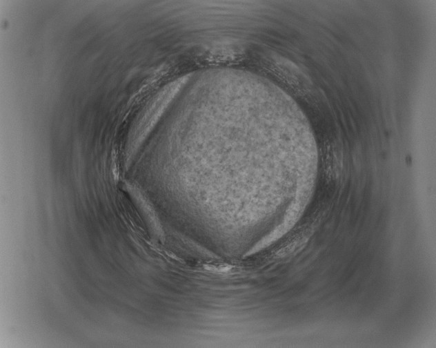 X0000079280962200612081749