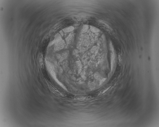 X0000079280963200612081749