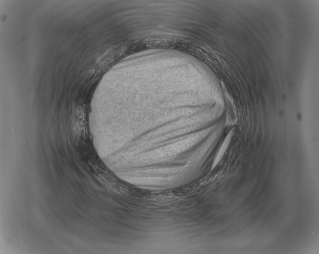 X0000079280964200612081749