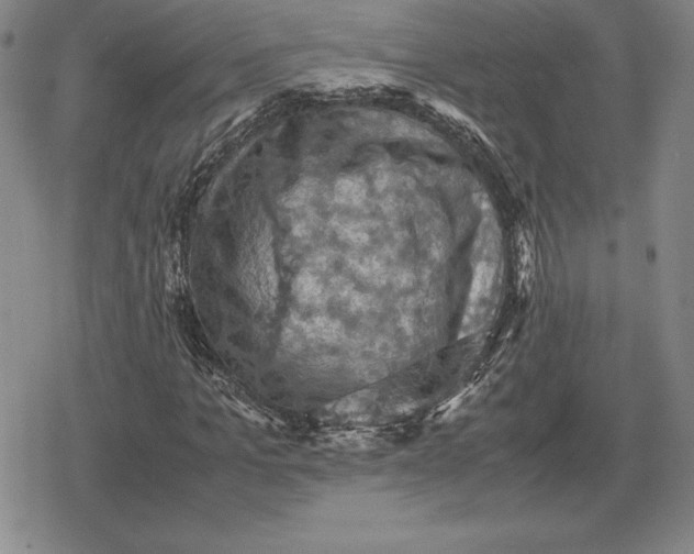 X0000079280965200612081749