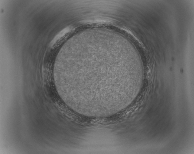 X0000079280967200612081749