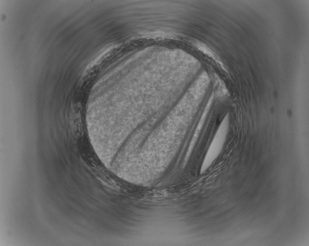 X0000079280968200612081749