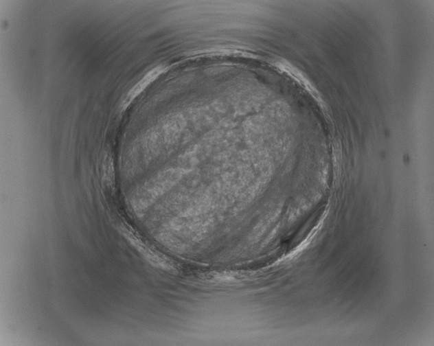 X0000079280969200612081749