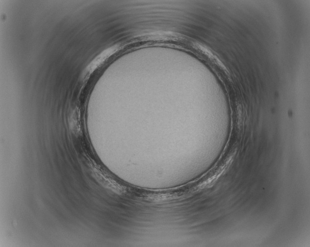 X0000079280970200612081749