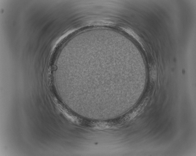 X0000079280971200612081749