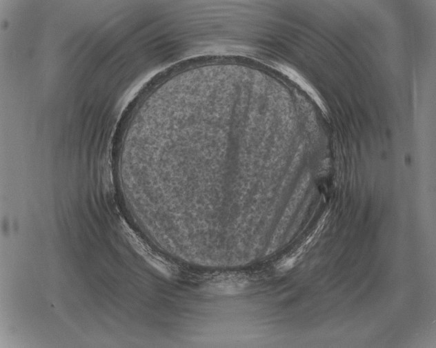 X0000079280972200612081749