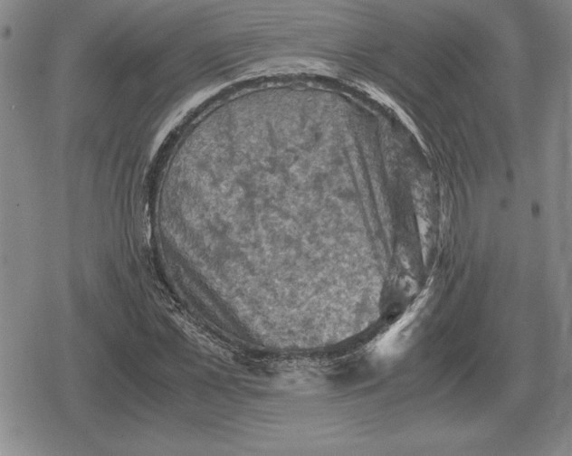 X0000079280973200612081749