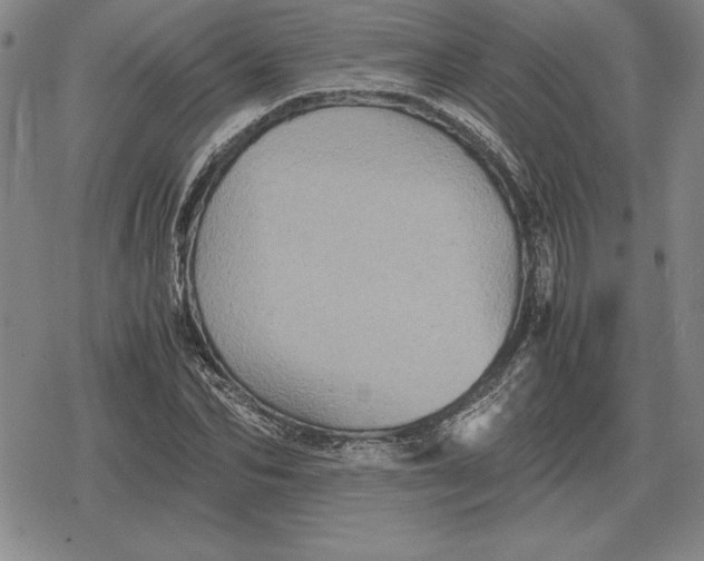 X0000079280974200612081749