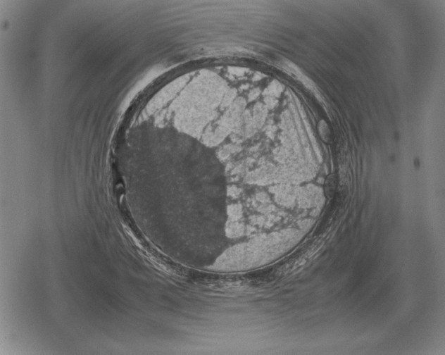 X0000079280975200612081749