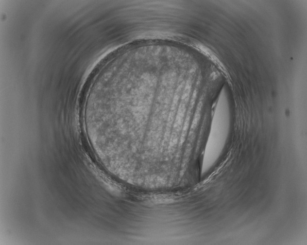 X0000079280976200612081749