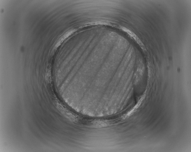 X0000079280977200612081749