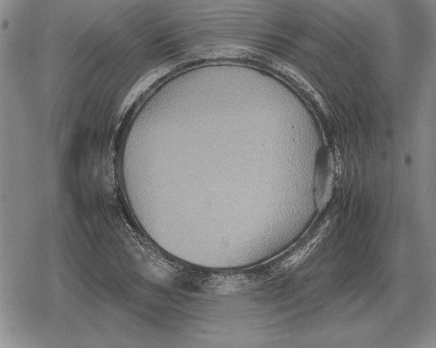 X0000079280978200612081749