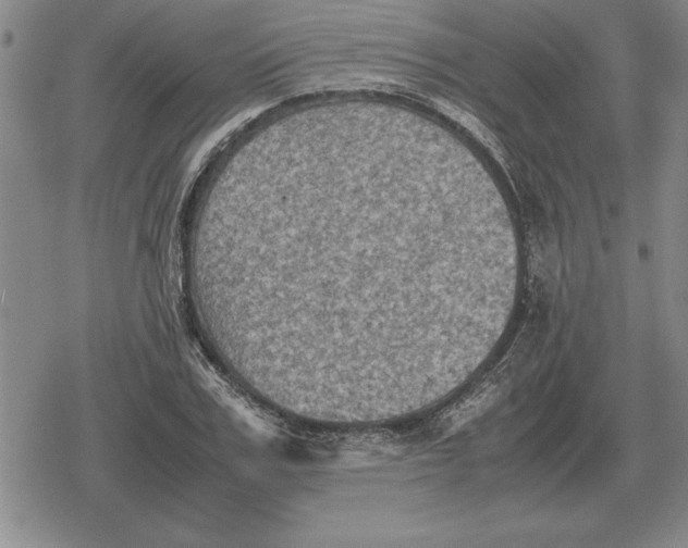 X0000079280979200612081749