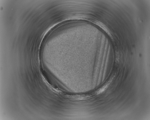 X0000079280980200612081749