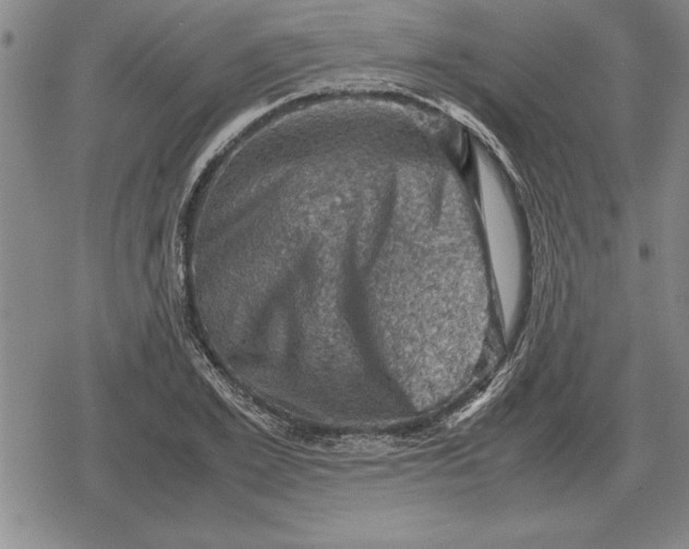 X0000079280981200612081749