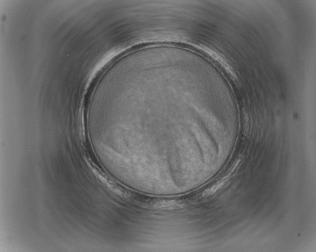 X0000079280982200612081749