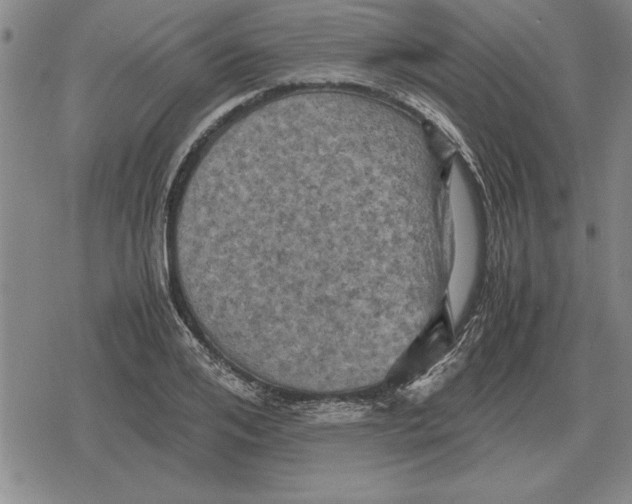 X0000079280984200612081749