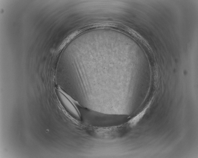 X0000079280985200612081749