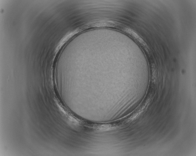 X0000079280986200612081749