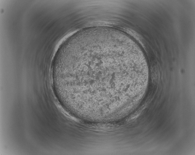 X0000079280987200612081749