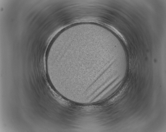 X0000079280988200612081749