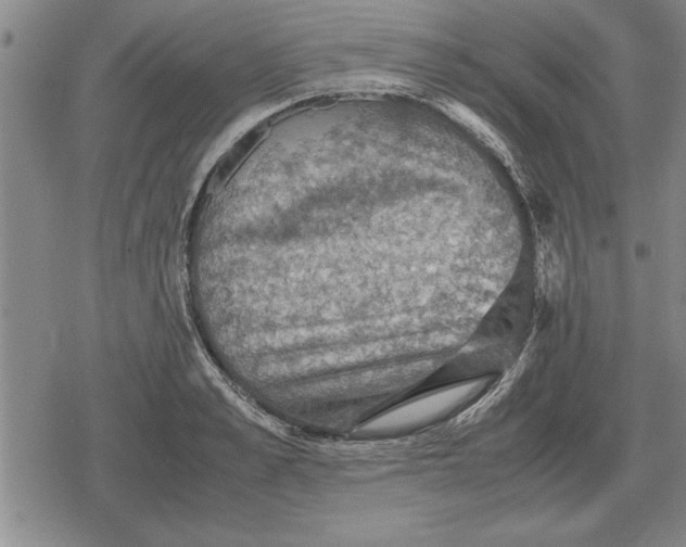 X0000079280989200612081749